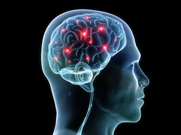 Role in Brain Function